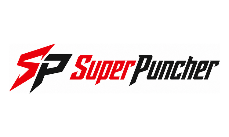 Available Business Name For Sale - SuperPuncher